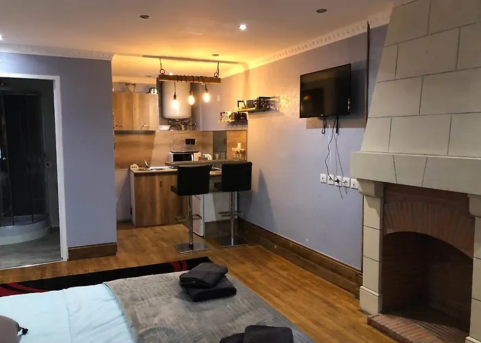 Studio Chaleureux Blois Centre